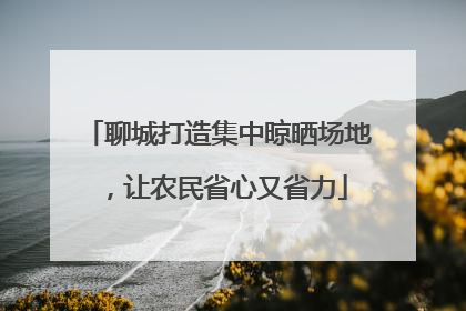 聊城打造集中晾晒场地，让农民省心又省力