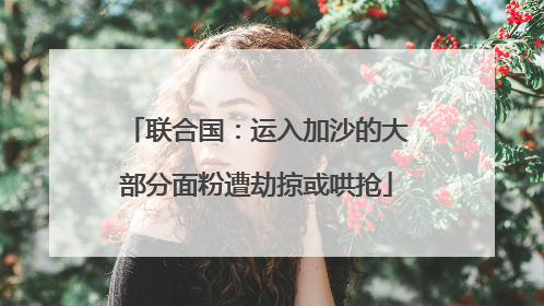 联合国：运入加沙的大部分面粉遭劫掠或哄抢