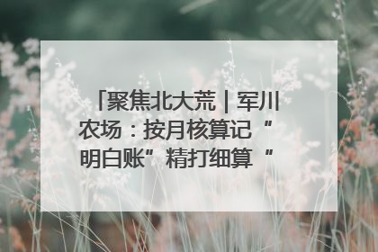 聚焦北大荒｜军川农场：按月核算记“明白账”精打细算“过紧日子”