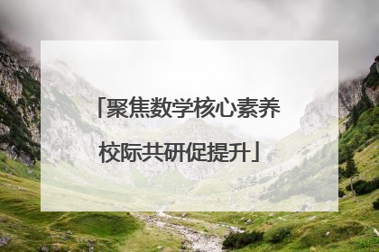 聚焦数学核心素养 校际共研促提升