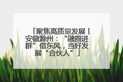 聚焦高质量发展丨安徽滁州：“融圈进群”借东风，当好发展“合伙人”