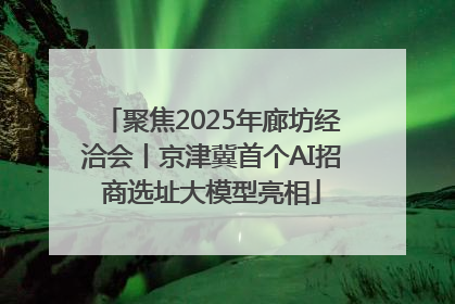 聚焦2025年廊坊经洽会丨京津冀首个AI招商选址大模型亮相
