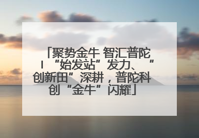 聚势金牛 智汇普陀〡“始发站”发力、“创新田”深耕，普陀科创“金牛”闪耀