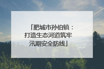 肥城市孙伯镇：打造生态河道筑牢汛期安全防线