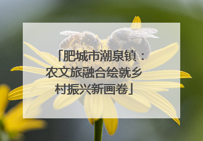 肥城市潮泉镇：农文旅融合绘就乡村振兴新画卷