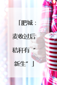 肥城：麦收过后秸秆有“新生”