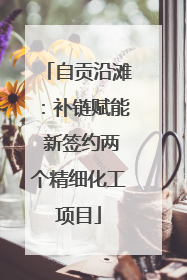 自贡沿滩：补链赋能 新签约两个精细化工项目
