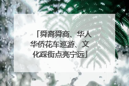 舜裔舜商、华人华侨花车巡游、文化踩街点亮宁远