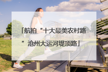 航拍“十大最美农村路”沧州大运河堤顶路