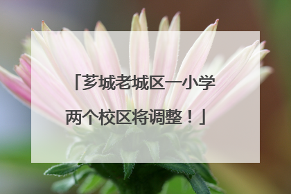 芗城老城区一小学两个校区将调整！