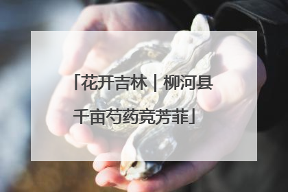 花开吉林｜柳河县千亩芍药竞芳菲
