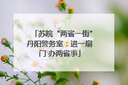 苏皖“两省一街”丹阳警务室：进一扇门 办两省事