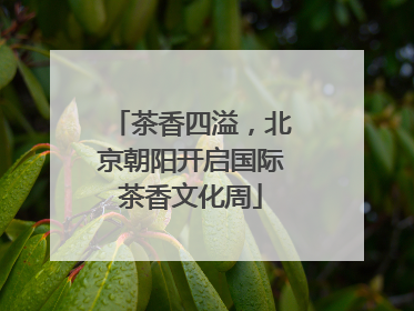 茶香四溢，北京朝阳开启国际茶香文化周