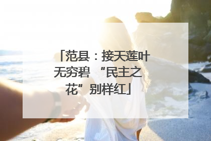 范县：接天莲叶无穷碧 “民主之花”别样红