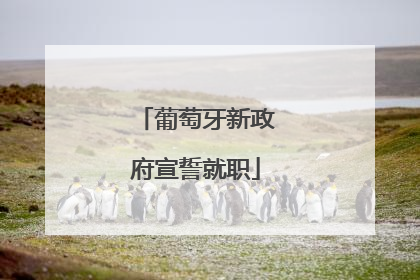 葡萄牙新政府宣誓就职