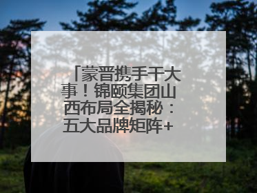 蒙晋携手干大事！锦颐集团山西布局全揭秘：五大品牌矩阵+双轮驱动模式