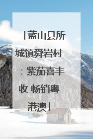 蓝山县所城镇舜岩村：紫茄喜丰收 畅销粤港澳