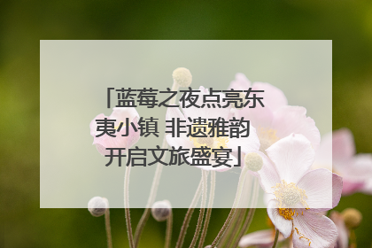 蓝莓之夜点亮东夷小镇 非遗雅韵开启文旅盛宴