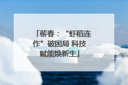 蕲春：“虾稻连作”破困局 科技赋能焕新生