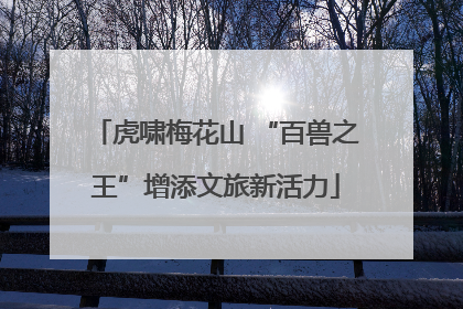 虎啸梅花山 “百兽之王”增添文旅新活力