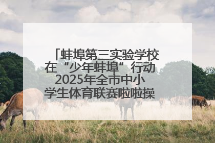 蚌埠第三实验学校在“少年蚌埠”行动2025年全市中小学生体育联赛啦啦操比赛中获佳绩