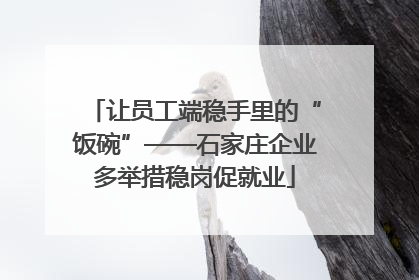 让员工端稳手里的“饭碗”——石家庄企业多举措稳岗促就业