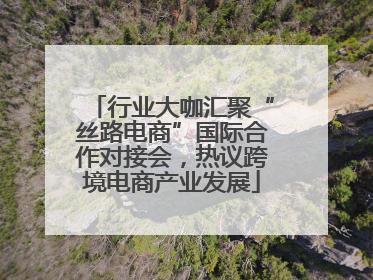 行业大咖汇聚“丝路电商”国际合作对接会，热议跨境电商产业发展