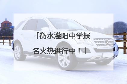 衡水滏阳中学报名火热进行中！