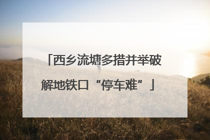 西乡流塘多措并举破解地铁口“停车难”