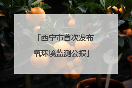 西宁市首次发布氧环境监测公报