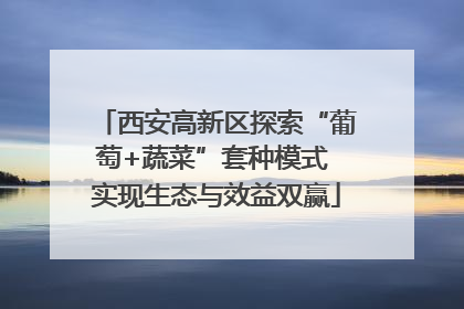 西安高新区探索“葡萄+蔬菜”套种模式 实现生态与效益双赢