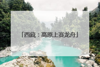 西藏：高原上赛龙舟