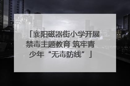 襄阳磁器街小学开展禁毒主题教育 筑牢青少年“无毒防线”