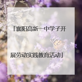襄阳高新一中学子开展劳动实践教育活动