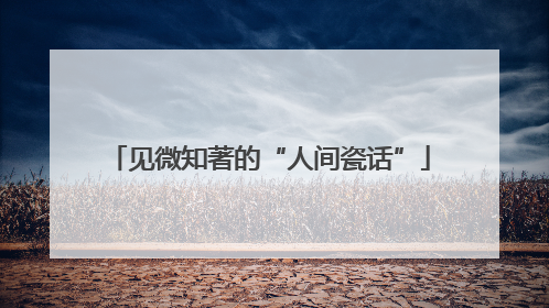见微知著的“人间瓷话”