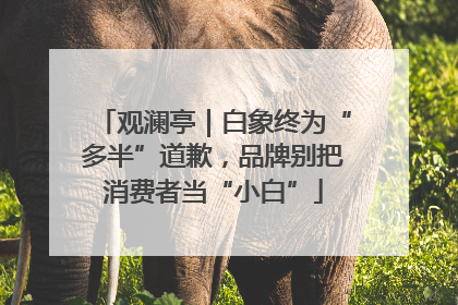 观澜亭｜白象终为“多半”道歉，品牌别把消费者当“小白”