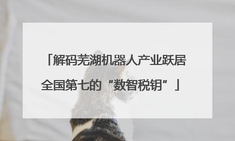 解码芜湖机器人产业跃居全国第七的“数智税钥”