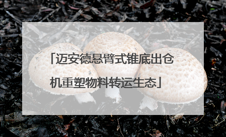 迈安德悬臂式锥底出仓机重塑物料转运生态