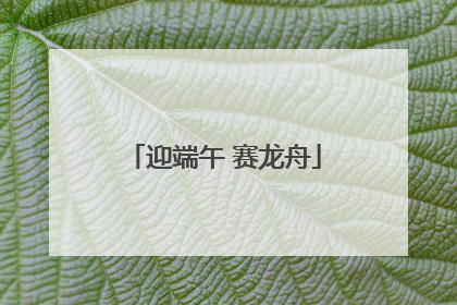 迎端午 赛龙舟