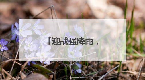 迎战强降雨，这群队伍守护湖北电网平安