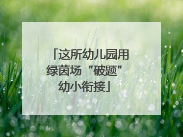 这所幼儿园用绿茵场“破题”幼小衔接