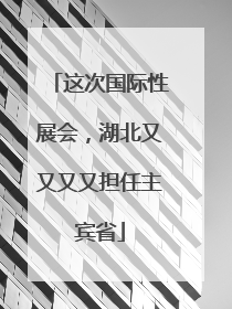 这次国际性展会，湖北又又又又担任主宾省