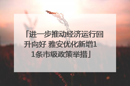 进一步推动经济运行回升向好 雅安优化新增11条市级政策举措