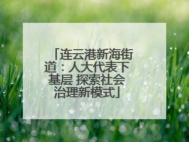 连云港新海街道：人大代表下基层 探索社会治理新模式