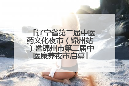 辽宁省第二届中医药文化夜市（锦州站）暨锦州市第二届中医康养夜市启幕