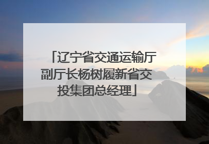 辽宁省交通运输厅副厅长杨树履新省交投集团总经理
