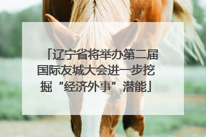 辽宁省将举办第二届国际友城大会进一步挖掘“经济外事”潜能