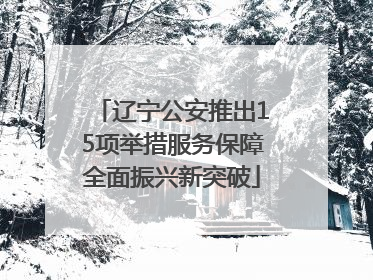 辽宁公安推出15项举措服务保障全面振兴新突破