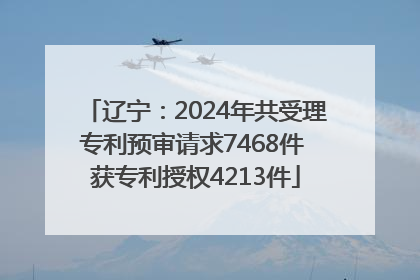 辽宁：2024年共受理专利预审请求7468件 获专利授权4213件
