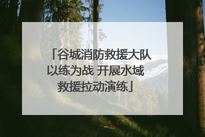 谷城消防救援大队以练为战 开展水域救援拉动演练